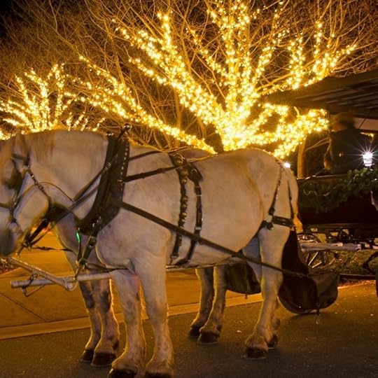 Sharon Wray returns to the Deadly Force world with a Christmas Eve Dinner at Pinckney House in Charleston, SC. And the next course being served is a dessert of Huguenot Torte.