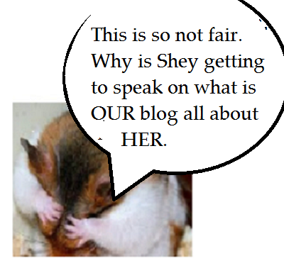 This image has an empty alt attribute; its file name is zdickblog.png