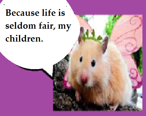 This image has an empty alt attribute; its file name is zfairy-51.png