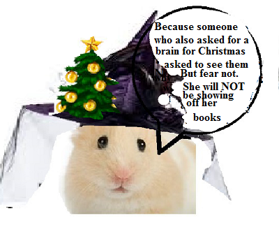 This image has an empty alt attribute; its file name is zsilvchrist3.png