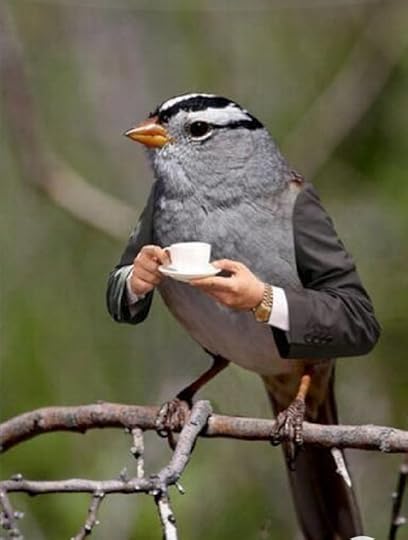 Screenshot-20201225-034807