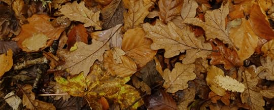Woodland leaves