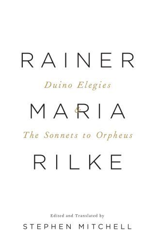 How to Live with Our Human Limitations: Physicist Brian Greene Reads and Reflects on Rilke’s Profoundest Elegy