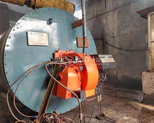 Gas fired thermal fluid heaters