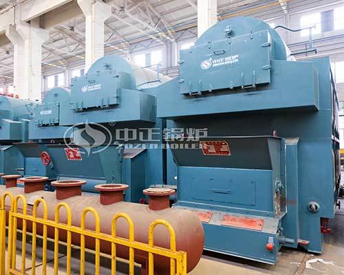 Biomass fired steam boilers