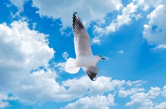 Guided meditation for kids