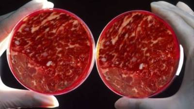 cultured meat