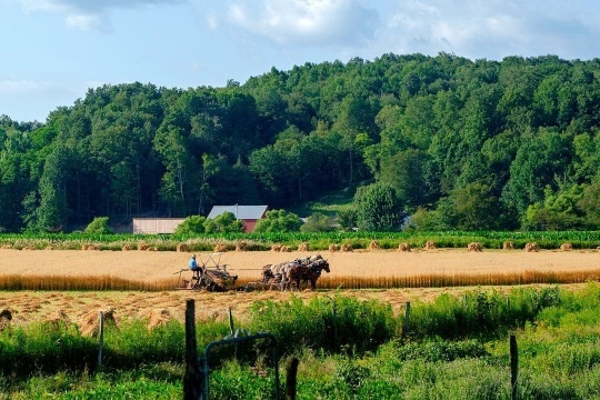Photos From Western NY Amish Country