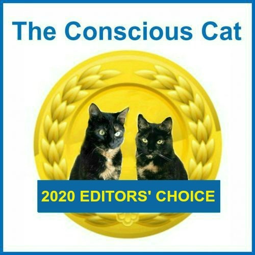 best-cat-products-2020