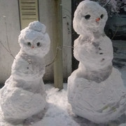 IMG-20201228-170724760
