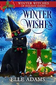 Winter Wishes by Elle Adams