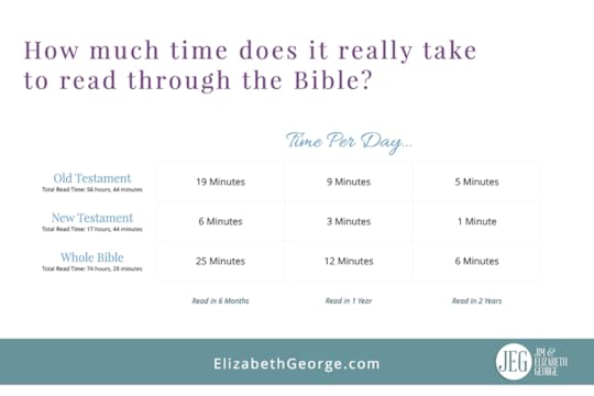 How much time does it take to read through the Bible in a year?