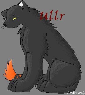 01e5c41939793fc93bddc284ad686004