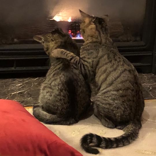 Two tabby cats sit with their backs to the fire, the larger with his paw around the shoulders of the smaller