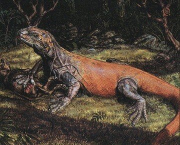 one of her many loyal lizards - Rootwalla by Roger Raupp