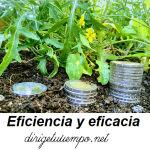 eficiencia y eficacia