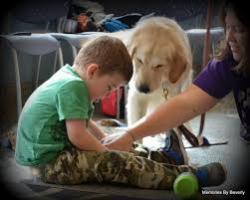 Boy dog woman good jan2021