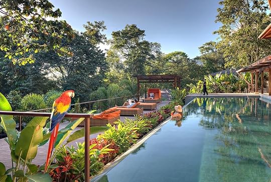 Nayara Springs
