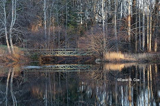 Walking Bridge at the Golden Hour, by David B. Coe