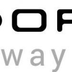 Dorsey Whitney LLC Logo