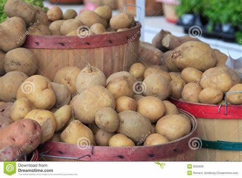 potatoes