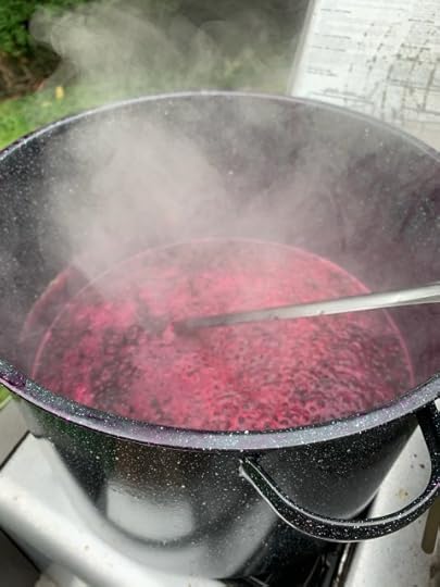 A photo of the pokeberries warming on the burner.