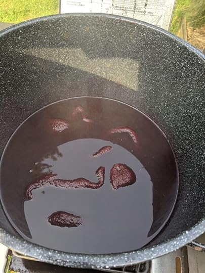 A photograph of fibers in a dye pot.