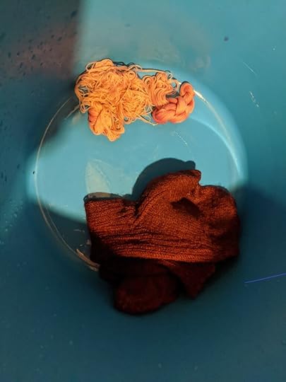 A photo of dingy pink thread and rich red-purple socks after dyeing with pokeberry dye.