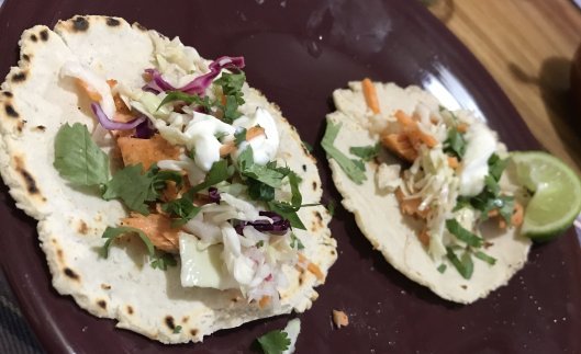 fish taco picture