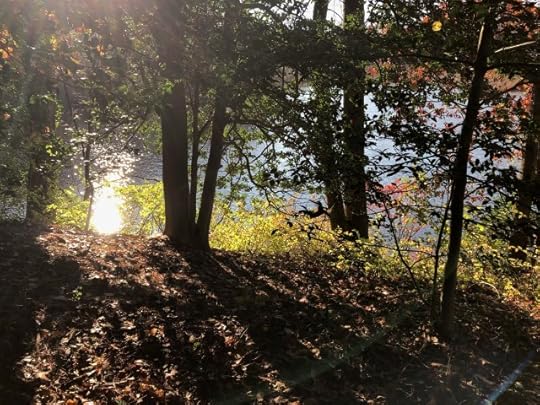 getting in touch with myself