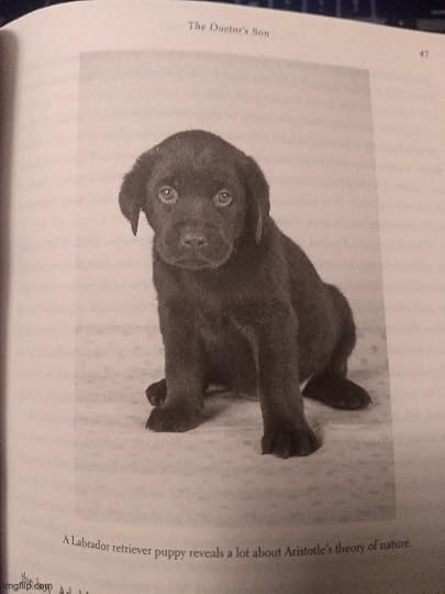 Fling me into the sun