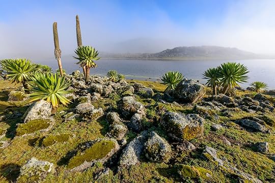Ethiopia landscape