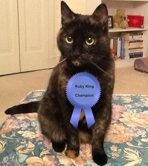 cat_agility