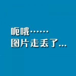 博猫娱乐