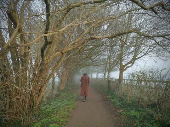 Country lane towards Glastonbury Tor