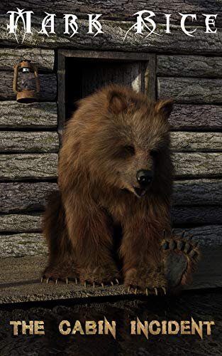 Cover of The Cabin Incident by Mark Rice