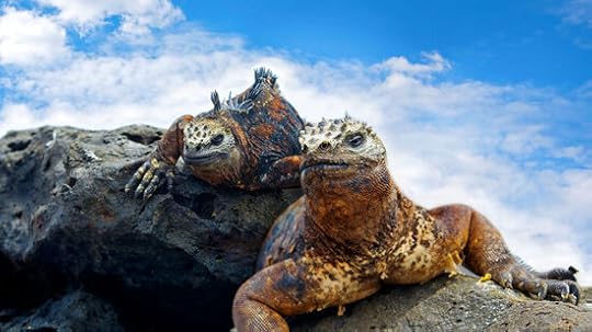 Image of Galapagos lizards in this novel the author said is not science fiction.