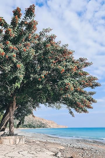 merilin-taimre-paljas-porgand-blogi-reisimine-reis-küpros-paphos-ayia-napa-blue-lagoon