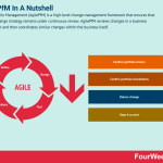 agile-portfolio-management