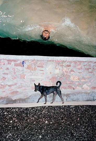 Vasantha Yogananthan, Ghost Dog, 2018
