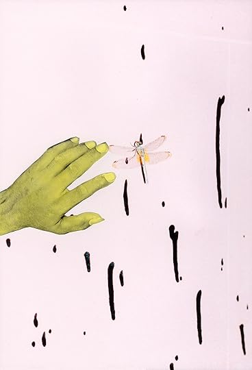 Vasantha Yogananthan, Dragonfly, 2018
