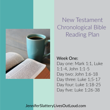 Bible reading plan image