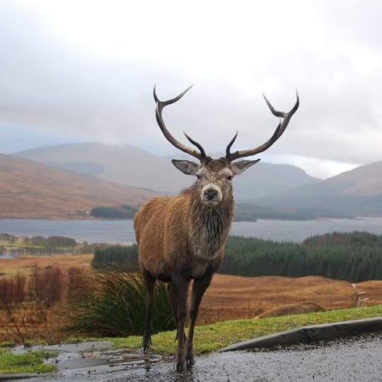 Bestselling author Sharon Wray on The Hungry {Romance} Writer blog with a recipe for Scottish Beef Stew, just in time to celebrate Robert Burns' birthday on January 25.