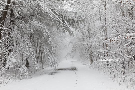 Trail Snowfall II, by David B. Coe