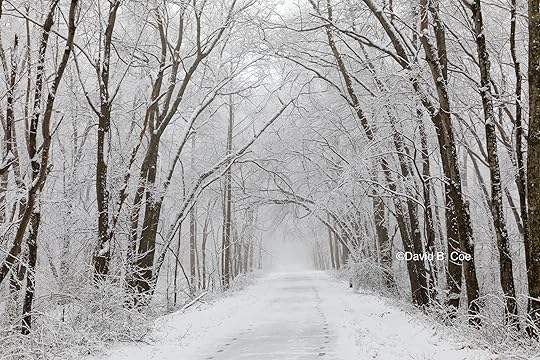 Trail Snowfall I, by David B. Coe