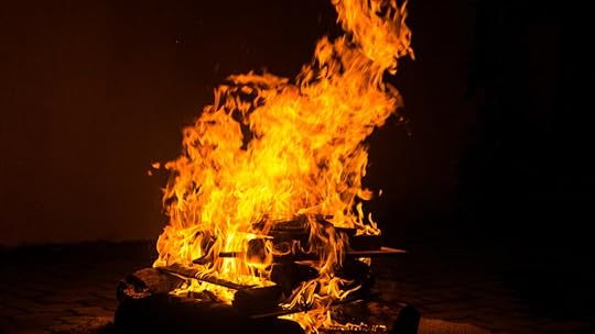 Photo by Thays Orrico on Unsplash