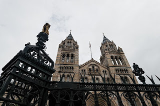 The Natural History Museum, on the Cromwell Road
