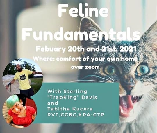 feline-fundamentals