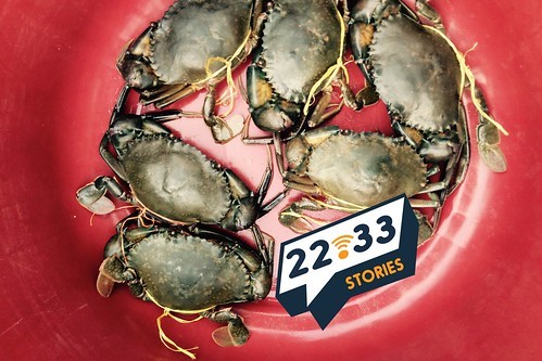 22.33 Stories: The Food We Eat, Part 3 