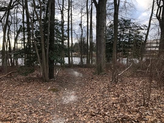 stumble on your path